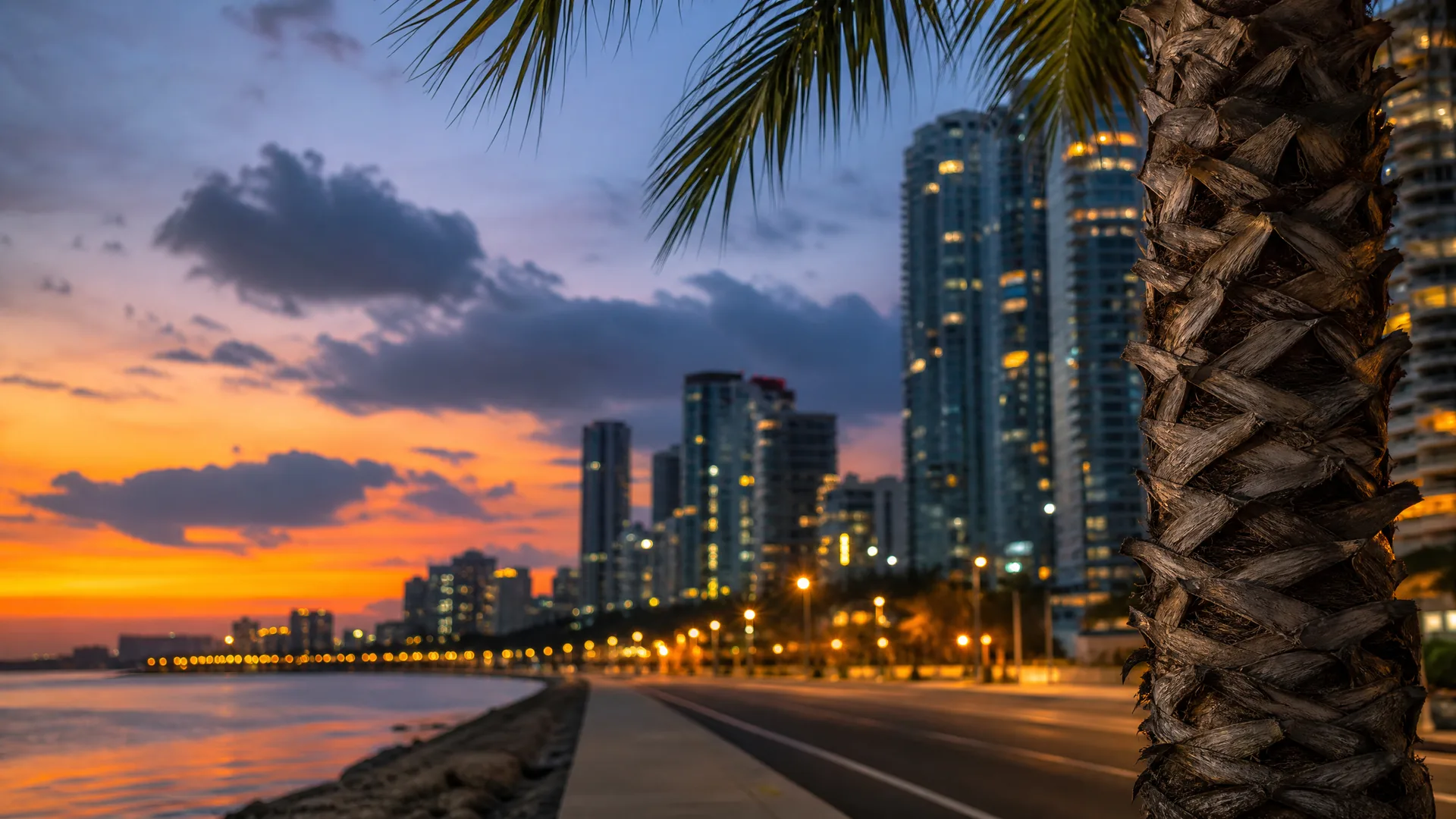 A coastal city skyline of lit high-rise towers at sunset, seen past a palm trunk and fronds, with an empty seafront road and street lights along the shore.